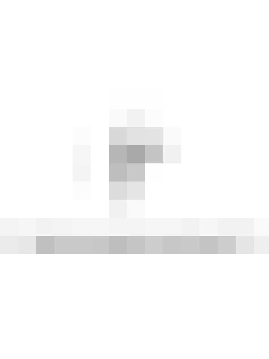 Image 61