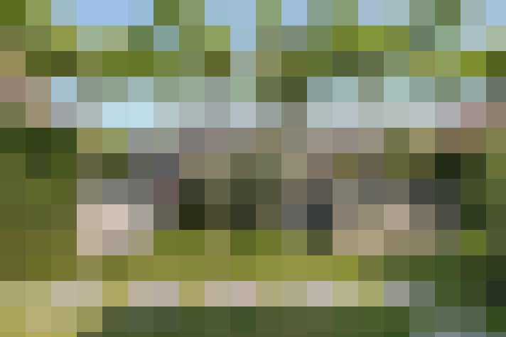Image 45