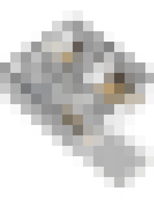 Image 28
