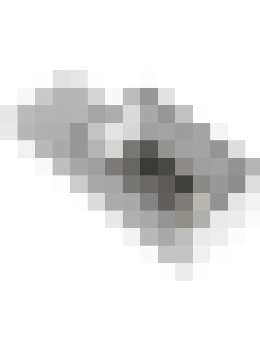Image 30