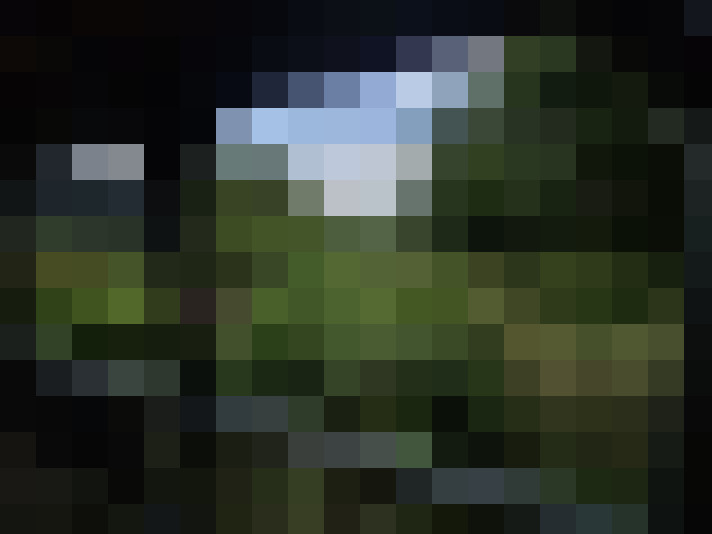 Image 13