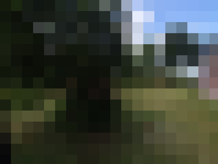 Image 14