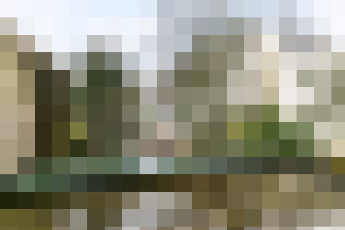 Image 20
