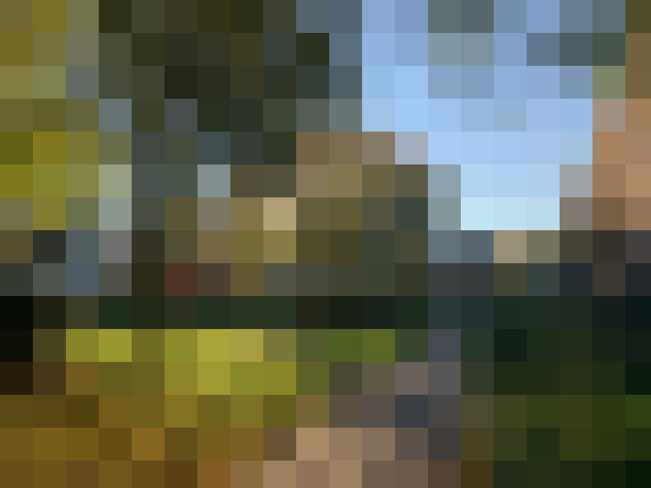 Image 20