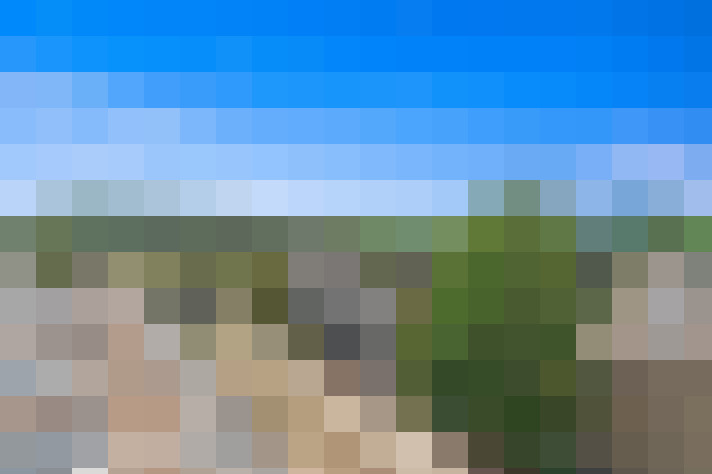 Image 20