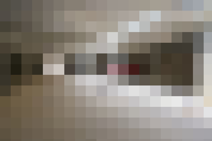 Image 22