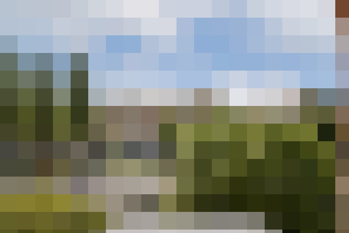 Image 22