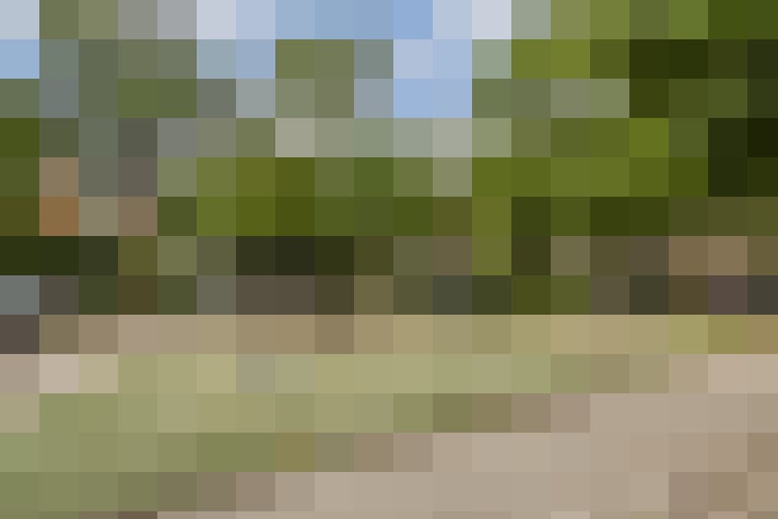 Image 24