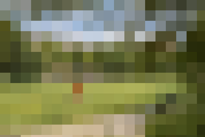 Image 23