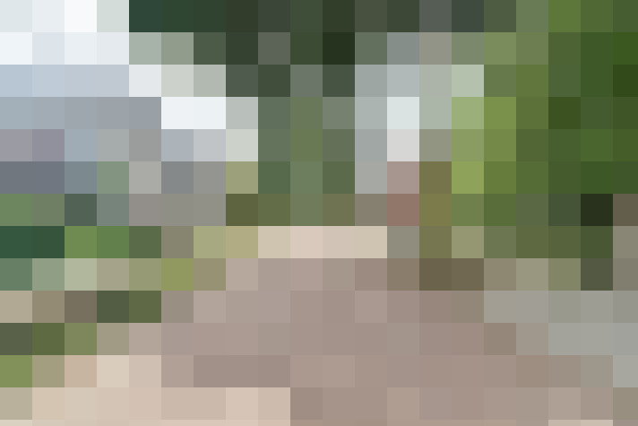 Image 26