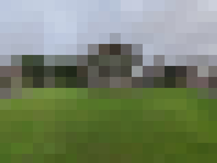 Image 16