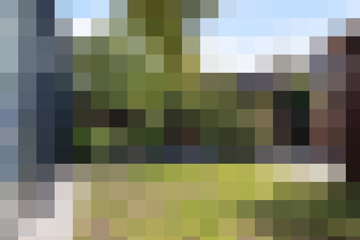 Image 43