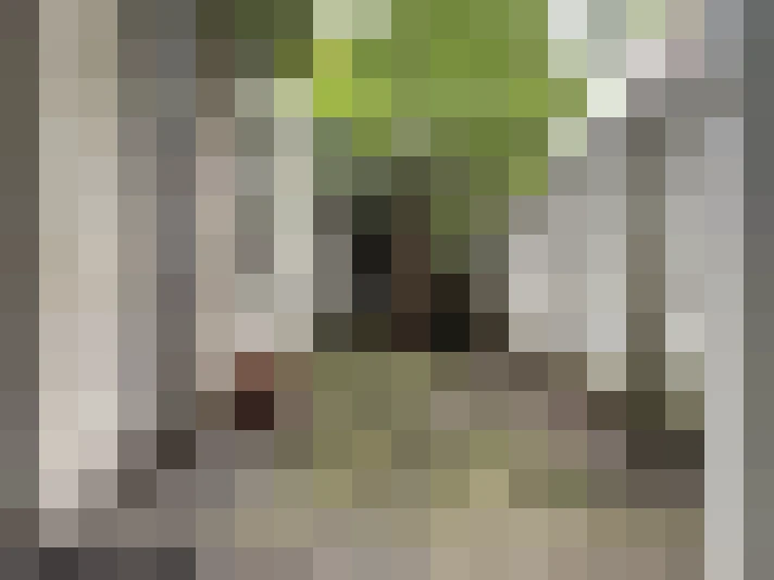 Image 14