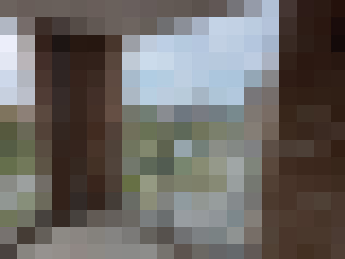 Image 21