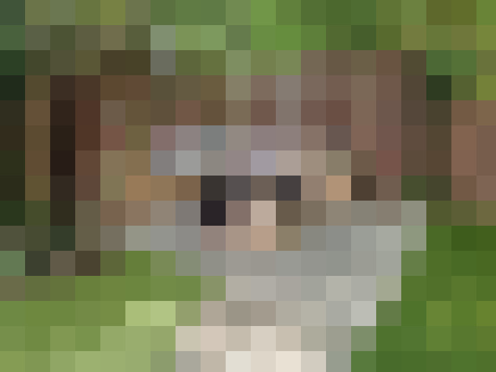  / #32