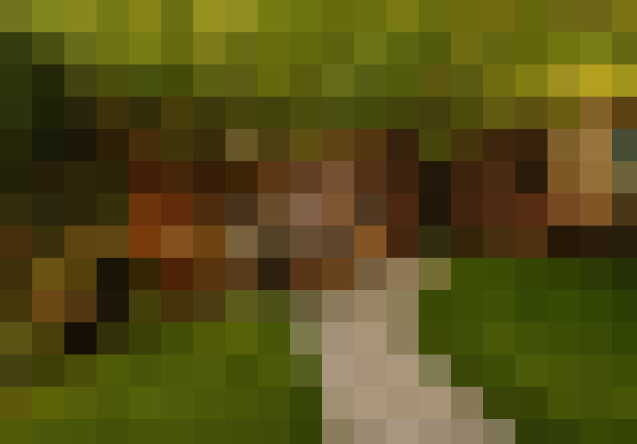  / #38