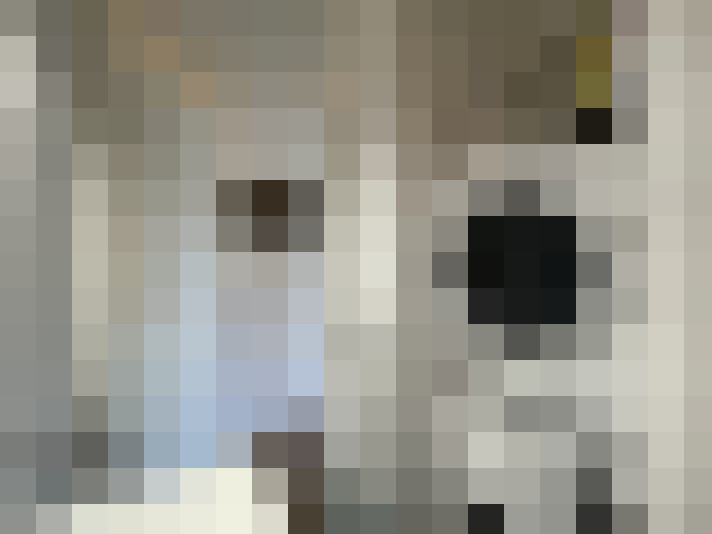 Image 13