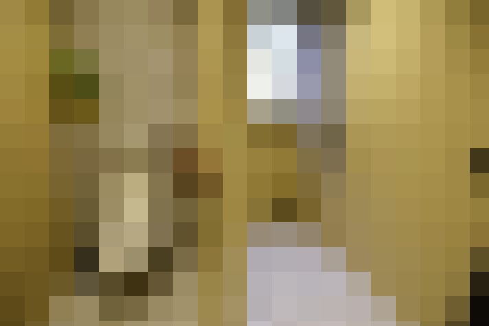 Image 14
