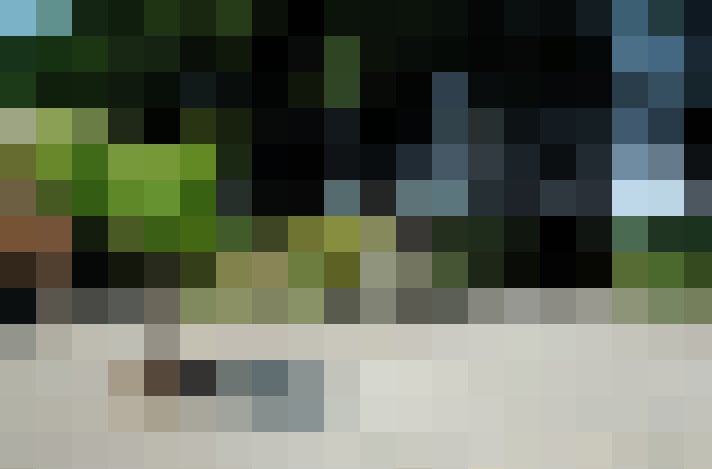 Image 18