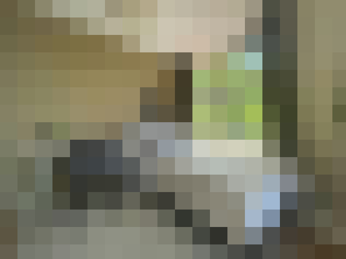 Image 15