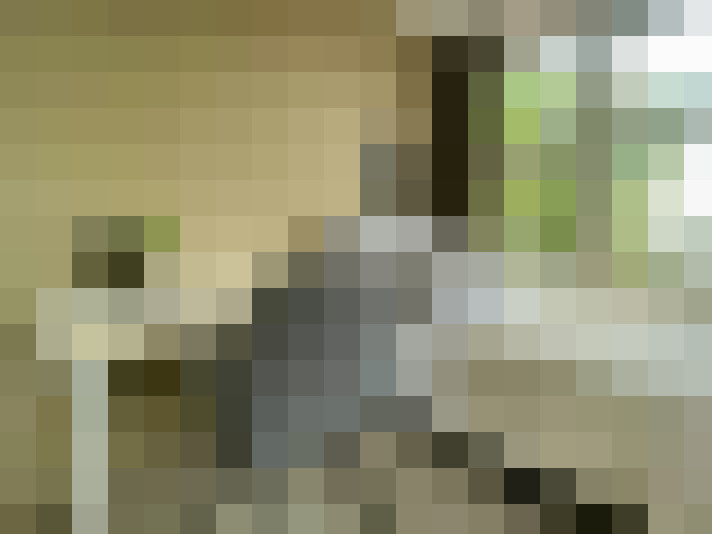Image 16