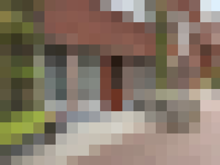 Image 32