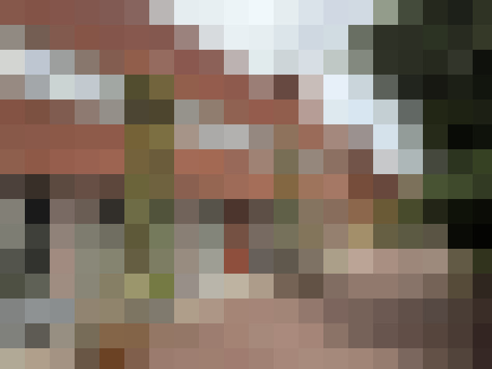 Image 31