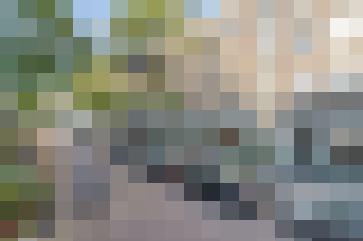 Image 15