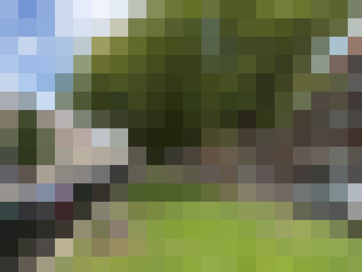 Image 20