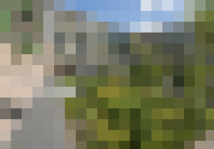 Image 15