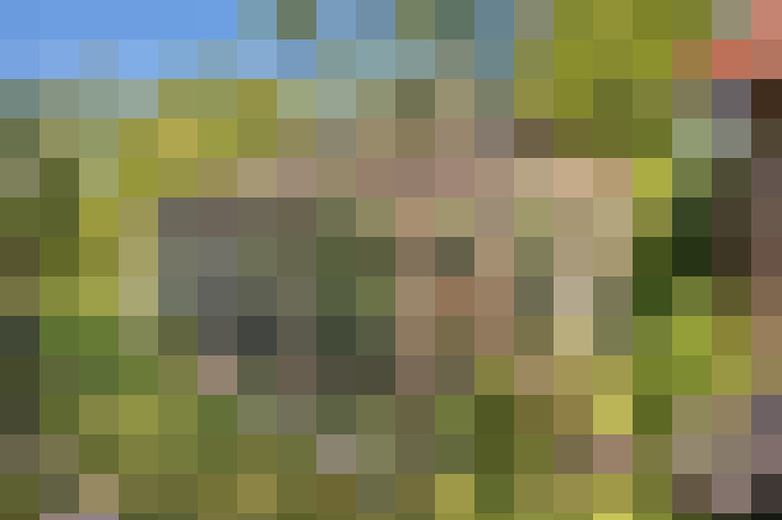 Image 44