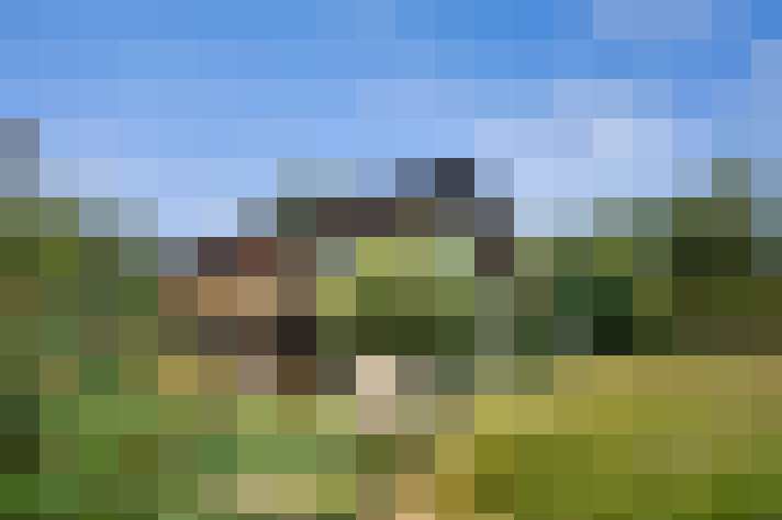 Image 37