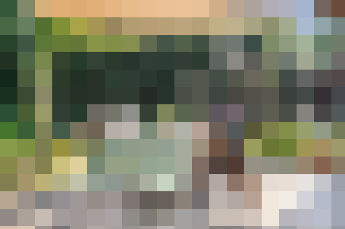 Image 38