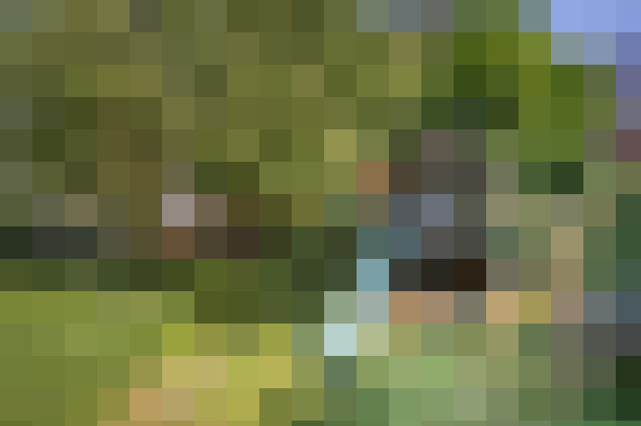 Image 46