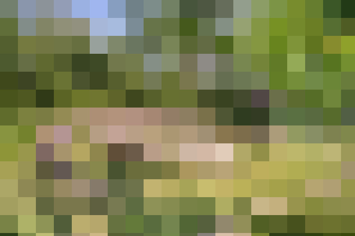Image 43
