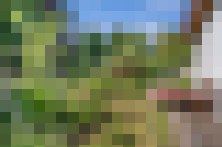 Image 42