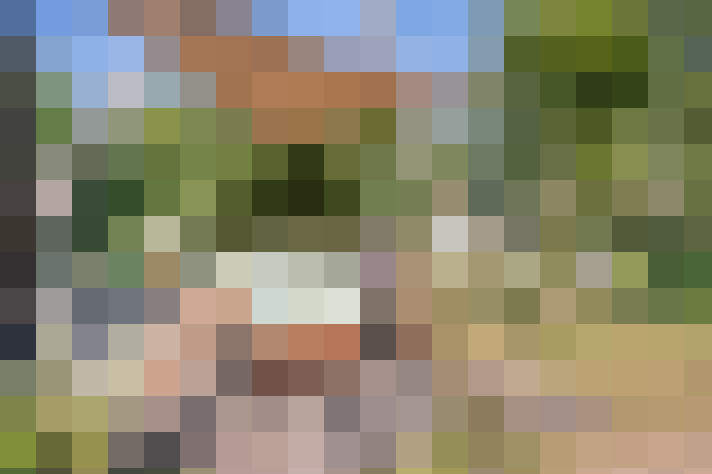 Image 39