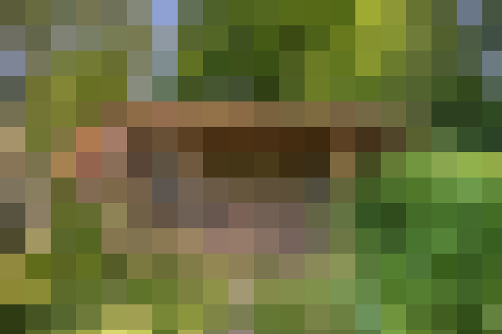 Image 45