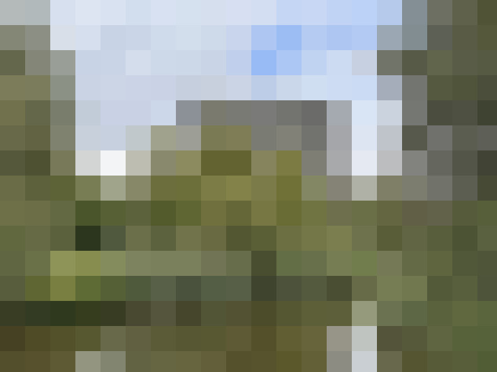 Image 25
