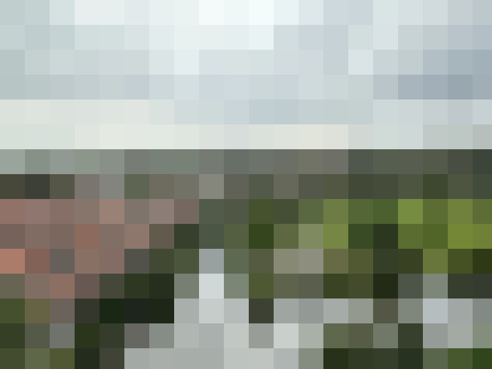 Image 14