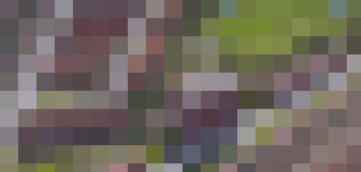 Image 26