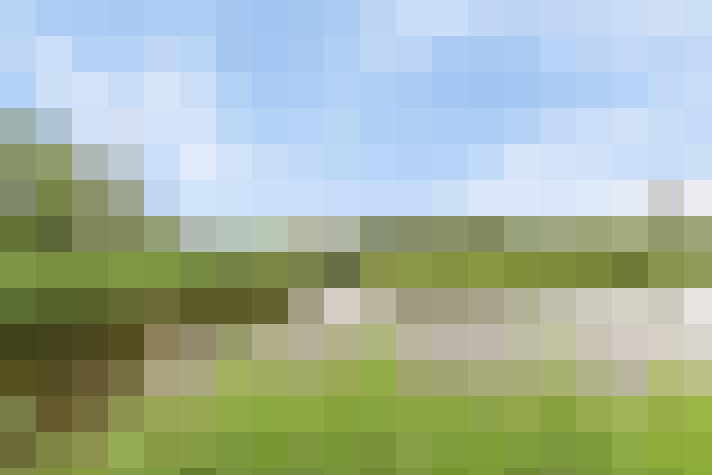 Image 32