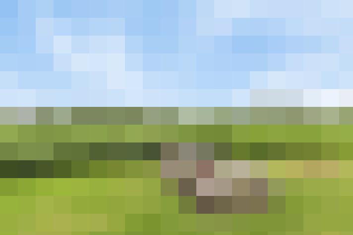 Image 31