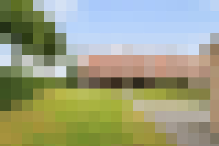 Image 23