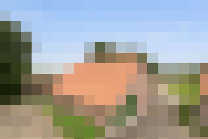 Image 29