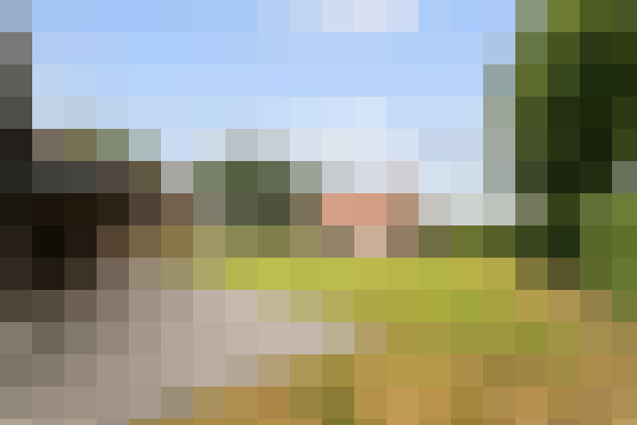 Image 25