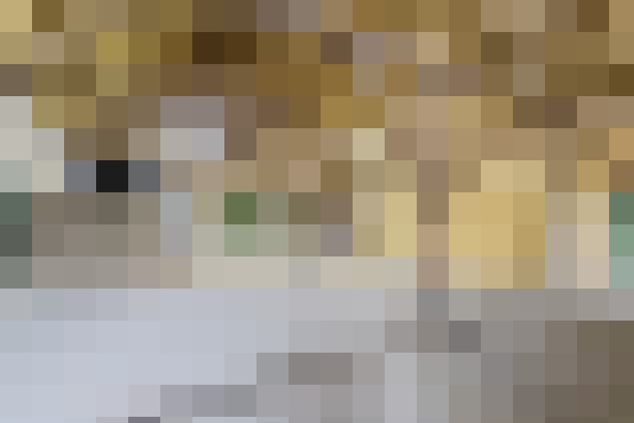 Image 32
