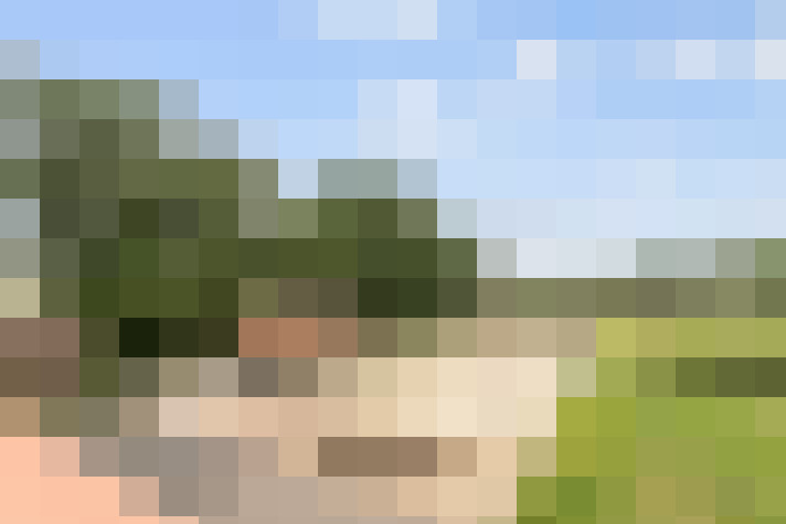 Image 34