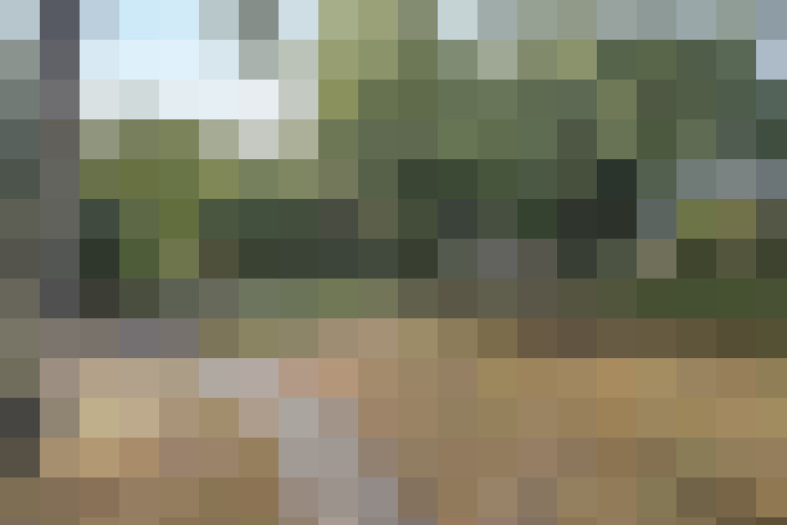 Image 38
