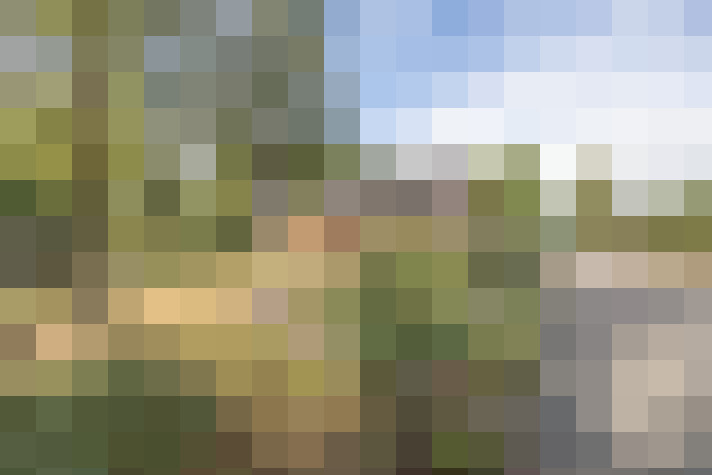 Image 42